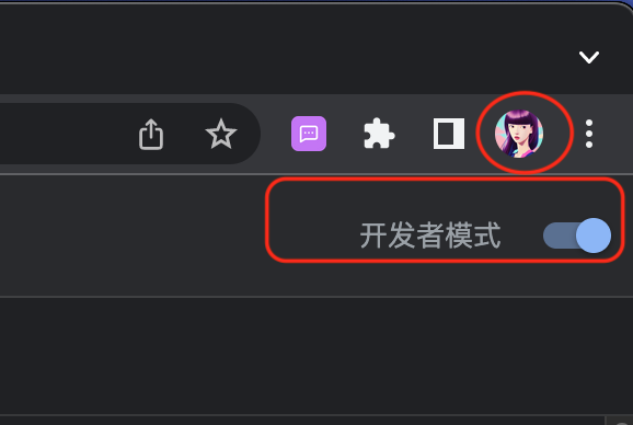 Chrome开发者模式